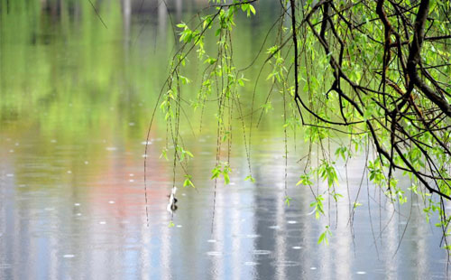 【迅豹网络】雨天温馨提示